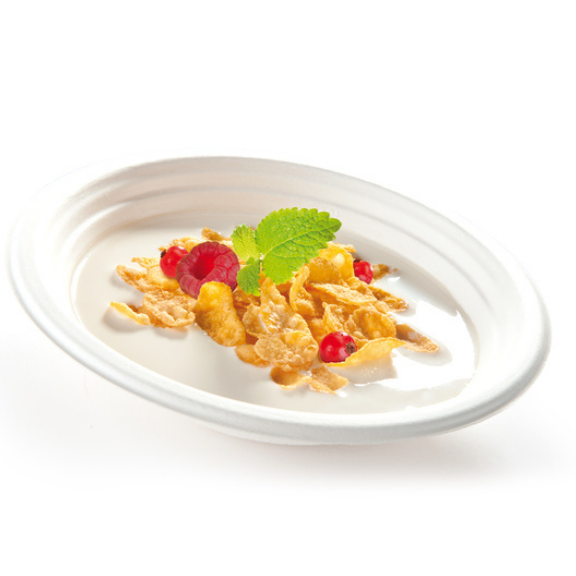 Precise Portions Go Healthy Portion Control Plates with Vented
